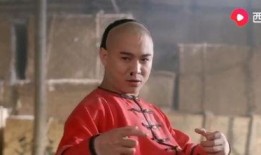 利智爆料李连杰了吗视频,视频曝光惊人真相