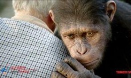 电影猩球崛起在线观看,重燃原始野性，在线观影体验