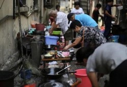 抗癌厨房爆料视频大全,视频大全背后的感人故事