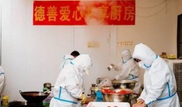 抗癌厨房爆料视频大全,视频大全背后的感人故事