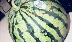 网红吃瓜的时候,揭秘娱乐圈幕后真相