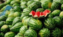 网红吃瓜的时候,揭秘娱乐圈幕后真相