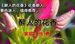 花香在线观看,在线体验花艺之美