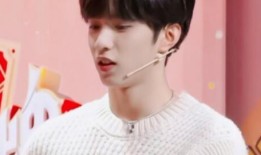 男嘉宾爆料七七视频大全,男嘉宾爆料背后的真相揭秘