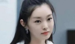 圈内小爆料宋轶是谁,宋轶，娱乐圈的神秘新星