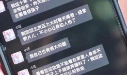 狗仔爆料聊天记录视频下载,明星聊天记录视频幕后下载全解析