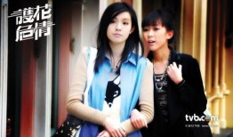 护花危情在线观看,浪漫悬疑，守护爱情与正义的冒险之旅