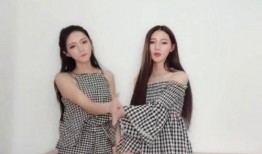 摇摆姊妹在线观看,在线重温经典舞曲风华