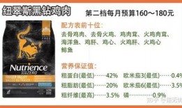 猫粮工厂爆料视频下载大全,揭露行业黑幕