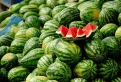 丽水银泰吃瓜网红,揭秘网络红人的幕后真相