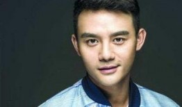 王凯赵丽颖最新爆料,揭秘幕后故事与情感纠葛