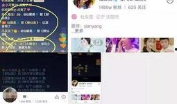 娜美爆料八卦视频播放在线观看,揭秘娱乐圈幕后八卦，视频直播带你一探究竟！