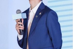 娱乐圈顶流爆料王一博,娱乐圈顶流背后的故事与魅力
