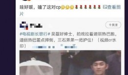 网友爆料吴磊视频大全集,网友爆料视频大全集回顾