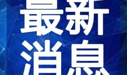哈尔滨木耳爆料视频最新,揭露惊人真相，食品安全再引关注