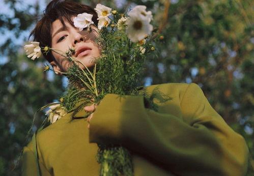 娱乐圈吃瓜封面图片